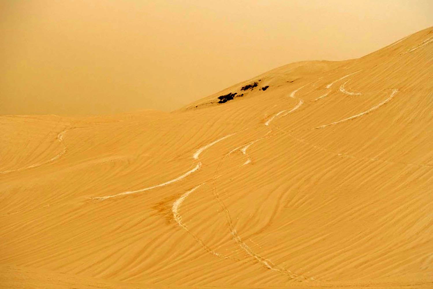 Nivologie, sable et neige